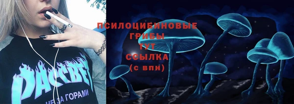 таблы Костерёво