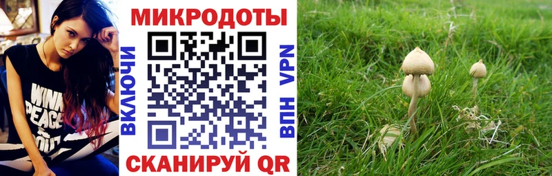 где продают   ОМГ ОМГ ссылка  Псилоцибиновые грибы прущие грибы  Называевск 